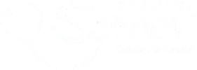 Logo Somer